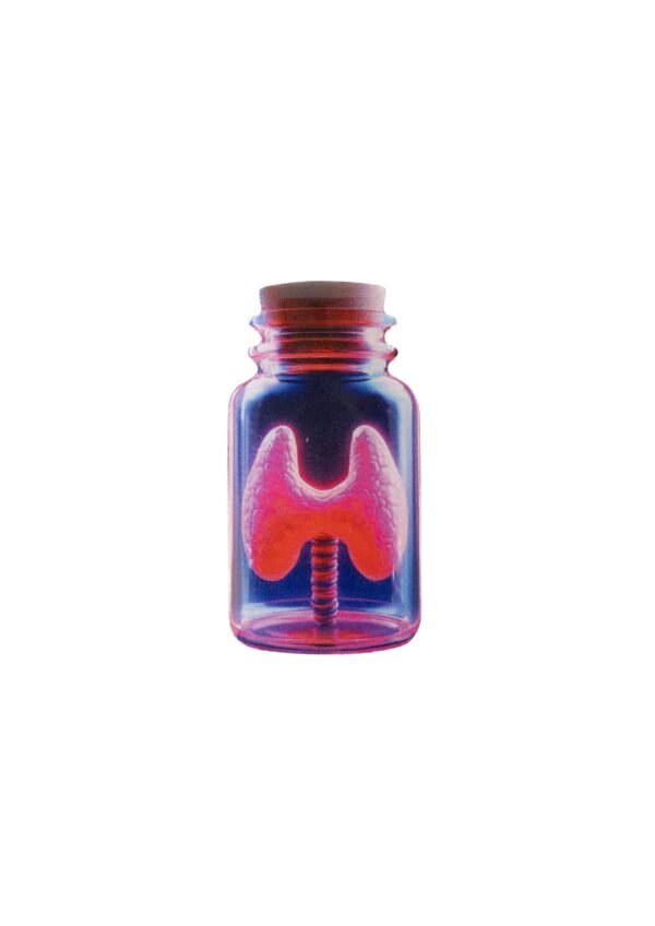 Thyroid Pin XL