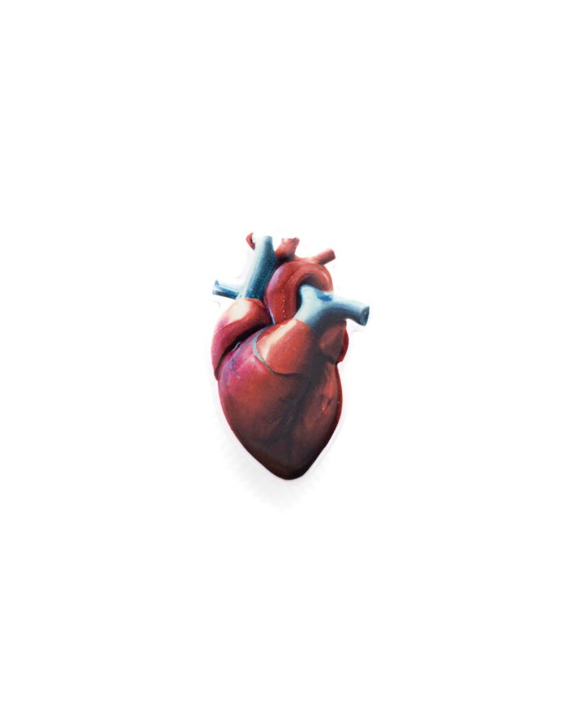 MedArtz Heart